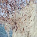 Immagine: 6_Luisa Pedron Paoli_al lago (2)