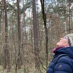 Immagine: 6_Mirtis Conci_Mirtis nel bosco dello Spessart, Baviera_Ph. Alberto Deponti