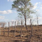 Immagine: 6_Monica Bonadiman_campi