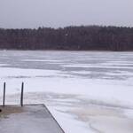 Immagine: 7_Alessandro Detassis_härlanda tjärn, il lago dietro casa