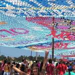 Immagine: 7_Anna Pegoretti_carnevale