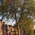 Immagine: 7_Beatrice March_tra le strade di Arnhem (NL)