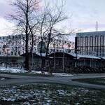 Immagine: 7_Fabiana Pompermaier_University of Southern Denmark, gennaio 2019