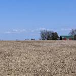 Immagine: 7_Luisa Pedron Paoli_campi (2)