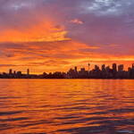 Immagine: 7_Martina Corradi_Australia