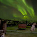 Immagine: 7_Nicola Sperandio_Norvegia