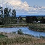 Immagine: 8_Luisa Pedron Paoli_field