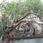 Immagine: 8_Noemi Lavorato_h