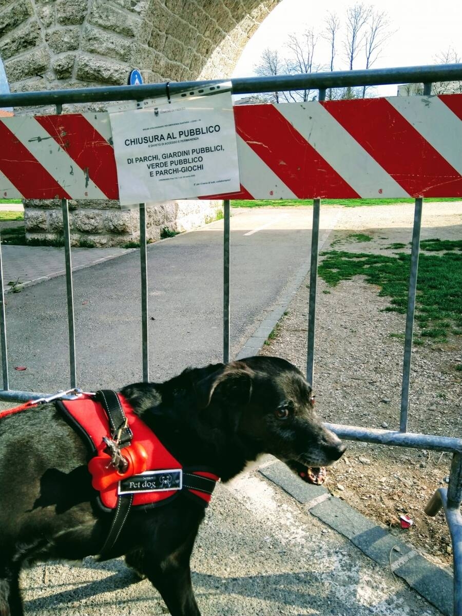 Immagine: 90504449_10222098448272566_5435672702436245504_n