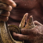 Immagine: 9_Antonello Veneri_foto 9