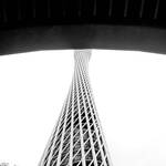 Immagine: 9_Antonio Facchinelli_torre