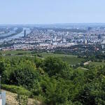 Immagine: 9_Marco Chistè_vista di Vienna