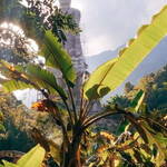 Immagine: 9_Marco Masini_Statua Chiang Dao