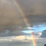 Immagine: 9_Martina Corradi_Australia