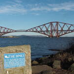 Immagine: 9_Noemi Lavorato_i