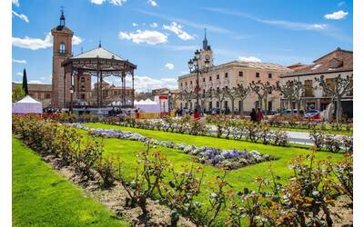 Immagine: Alcalá de Henares