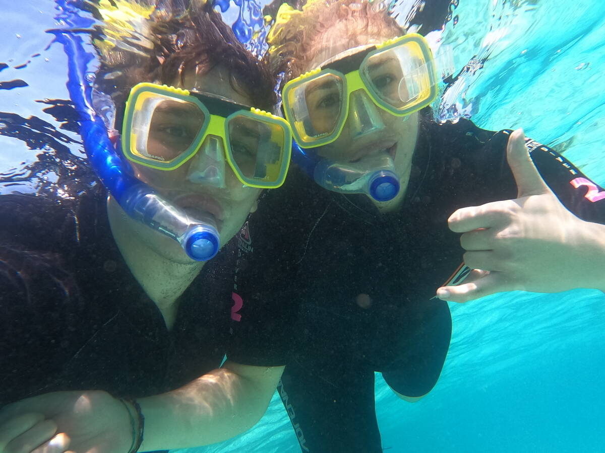 Immagine: Barriera corallina australiana 2021