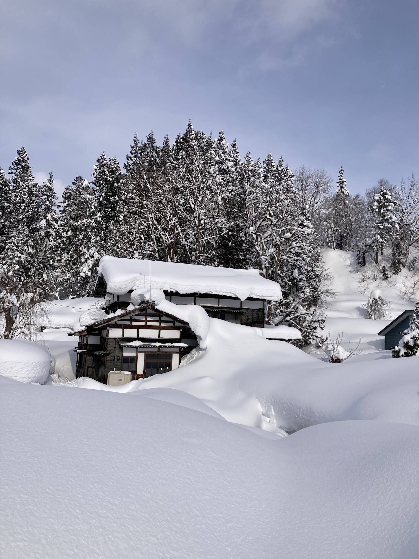 Immagine: Casa Giappone Alessandro Comai (Gennaio 2025)