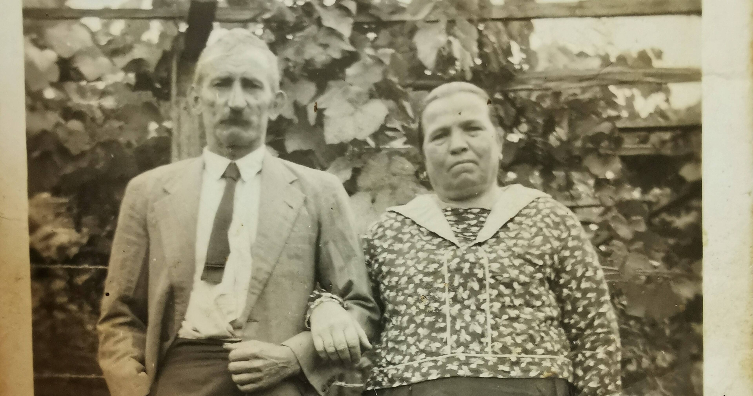 Immagine: leonardi (3)