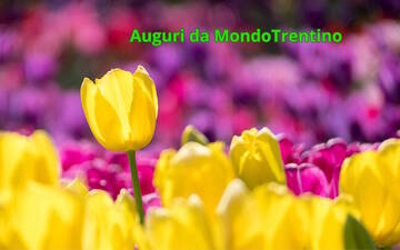 Buona Pasqua!