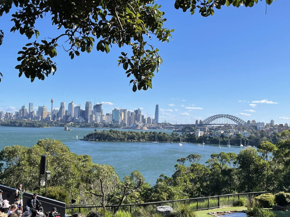 Immagine: unnamed (3)