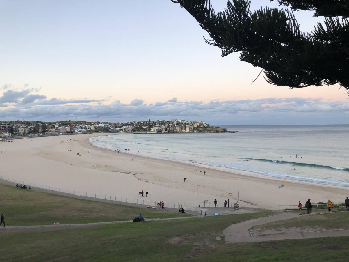 Immagine: unnamed (8)