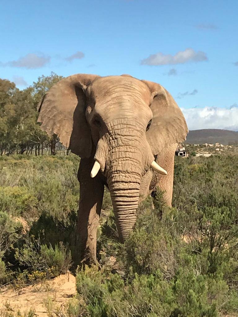 Immagine: WhatsApp Image 2020-10-01 at 18.32.20