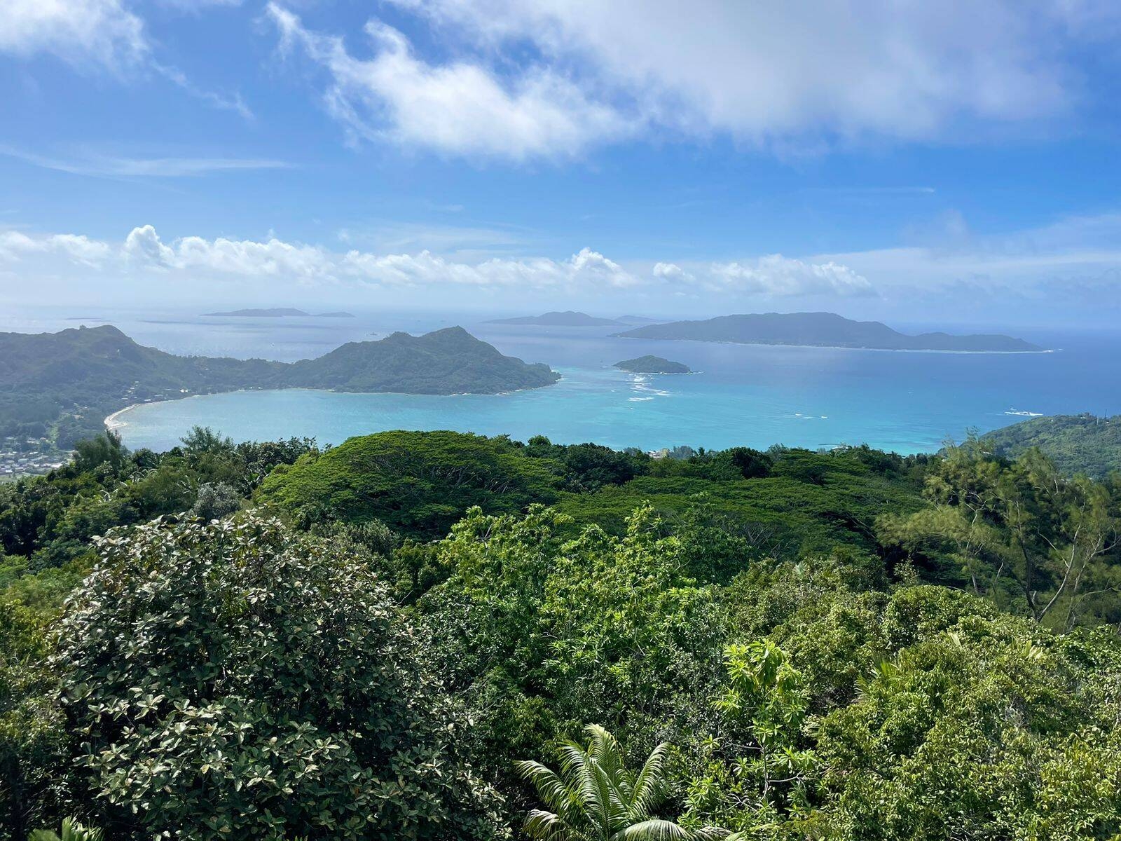 Immagine: WhatsApp Image 2025-10-13 at 18.19.26