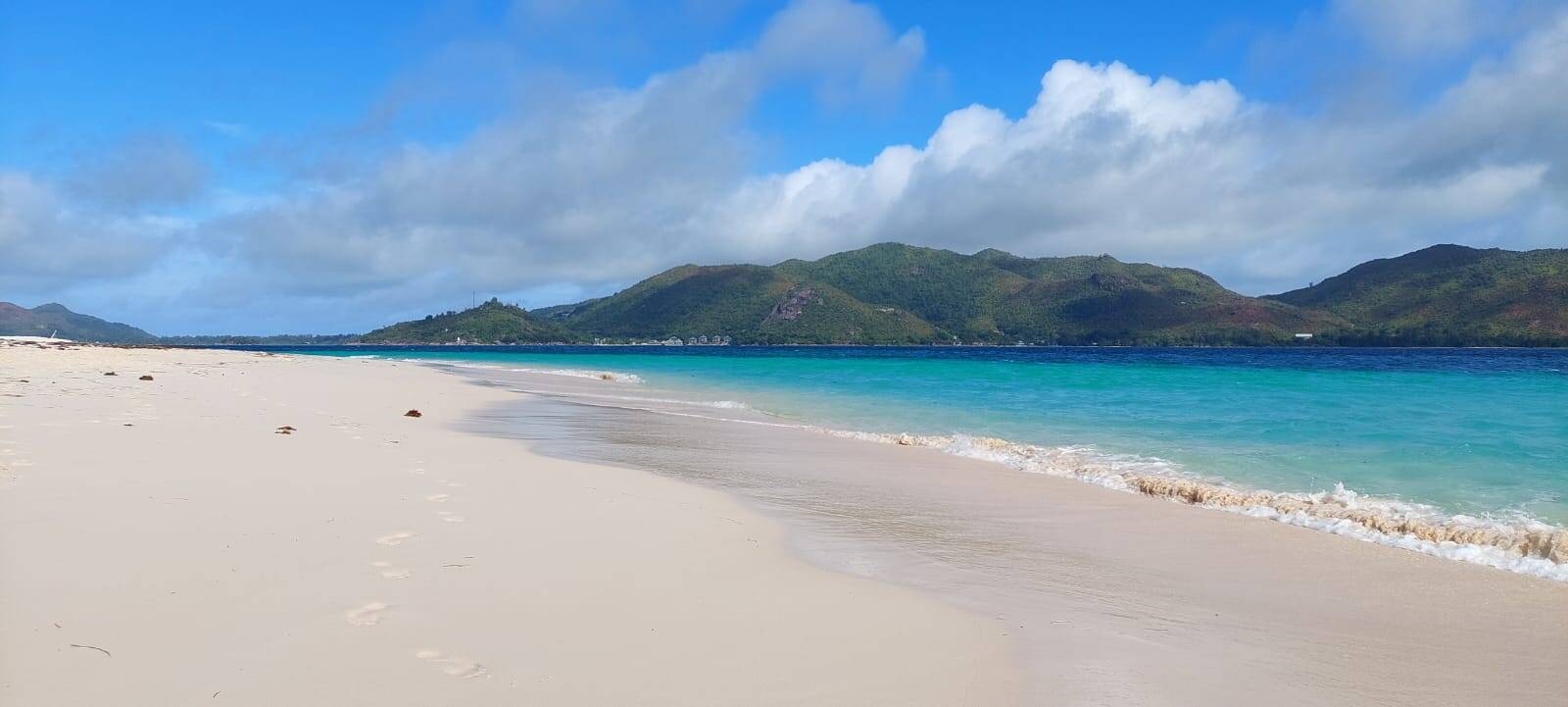 Immagine: WhatsApp Image 2025-10-13 at 18.19.33 (1)