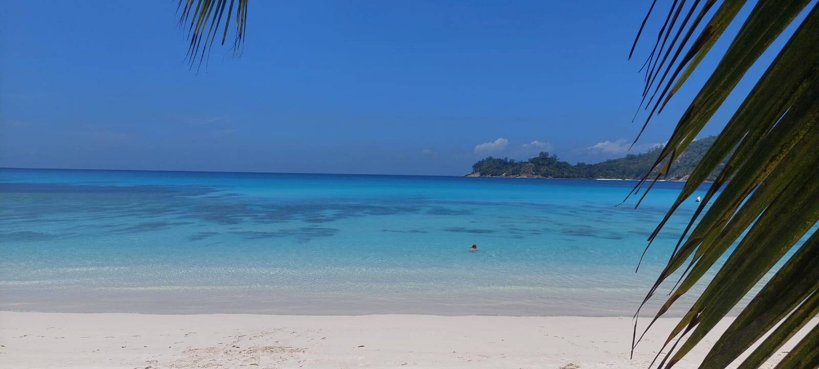 Immagine: WhatsApp Image 2025-10-13 at 18.26.22